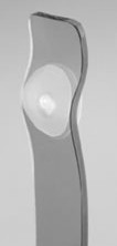 Nasal Septum Button